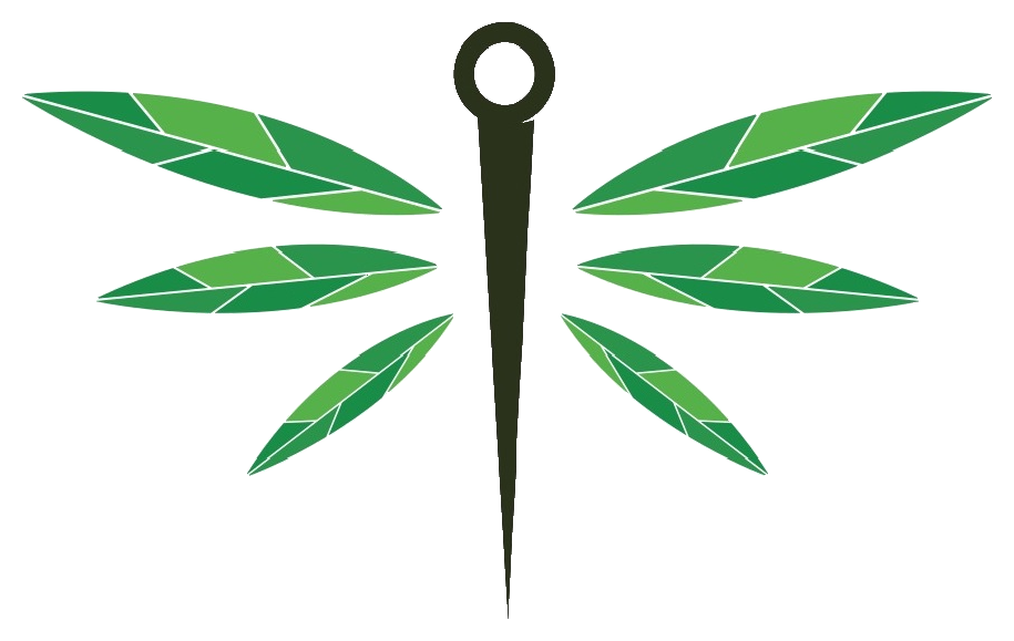 The Family Acupuncture Foundation dragonfly logo